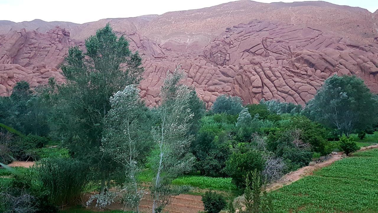 Auberge Kasbah Ait Marghad Tamellalt  エクステリア 写真