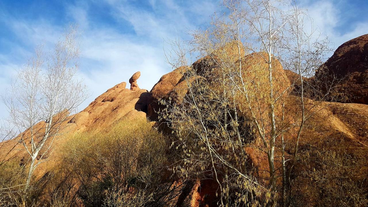 Auberge Kasbah Ait Marghad Tamellalt  エクステリア 写真